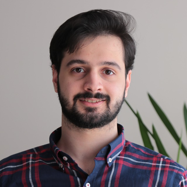 سید امیرحسین رهنمافرد